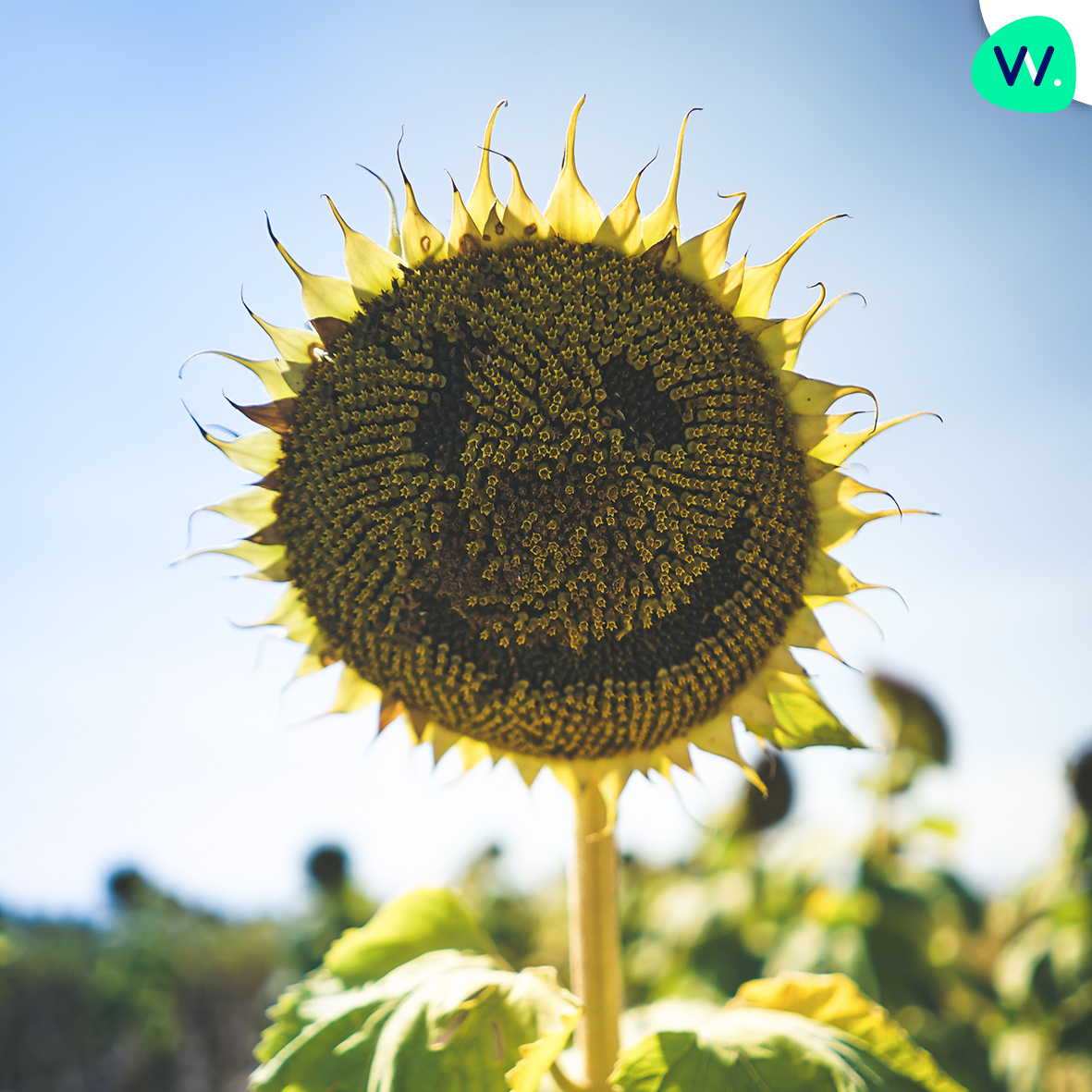 10 raisons pour l'alternance